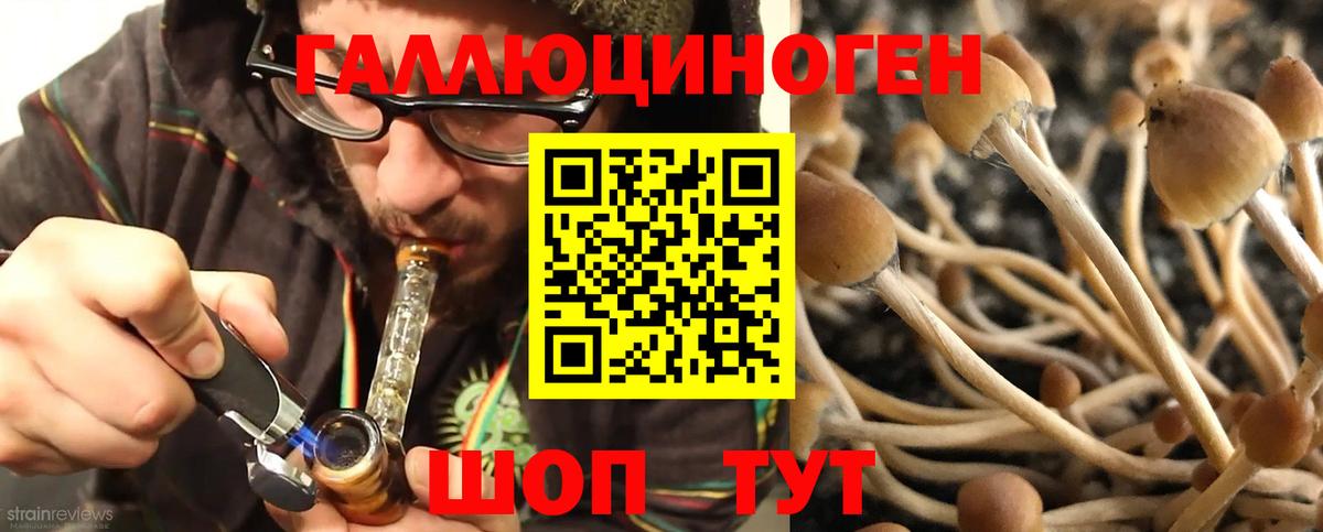 Псилоцибиновые грибы мицелий Менделеевск