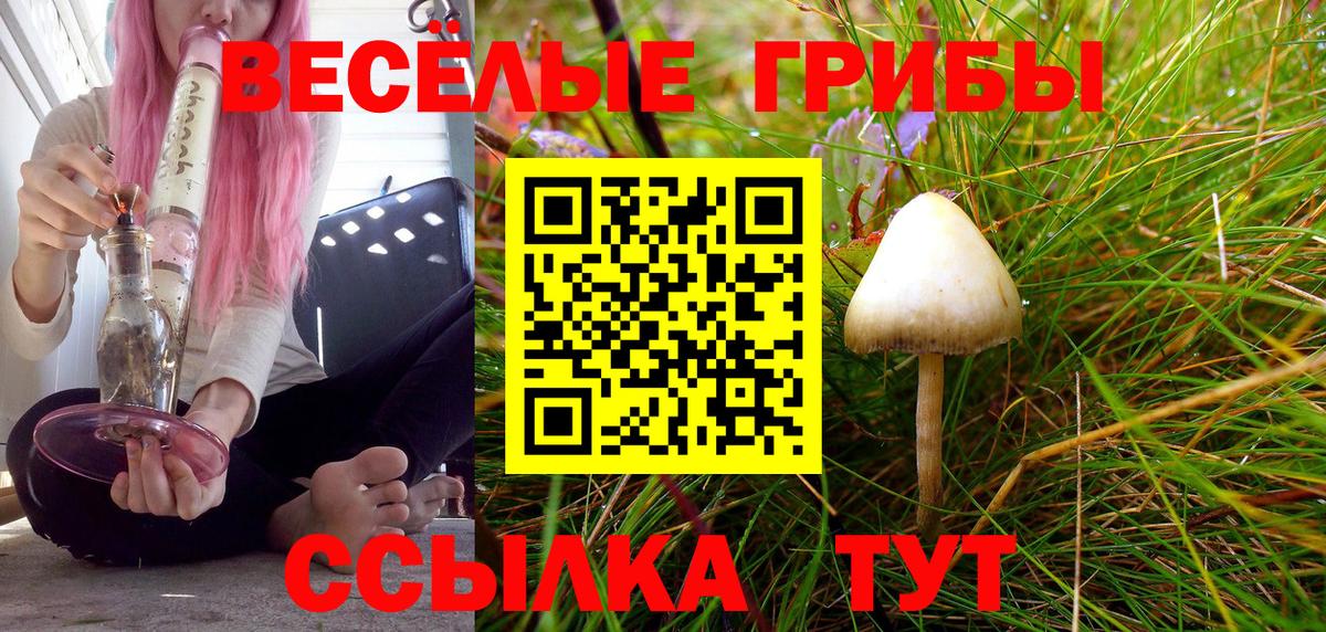 Менделеевск  Псилоцибиновые грибы GOLDEN TEACHER  Вход с VPN 